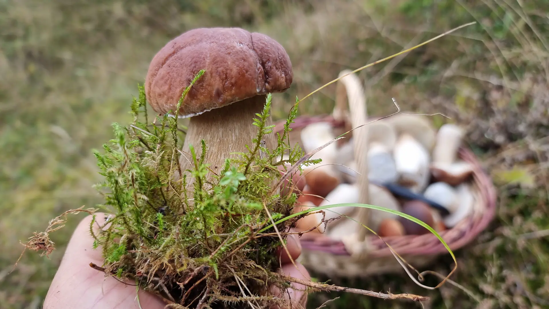 Babie leto Račkova dolina